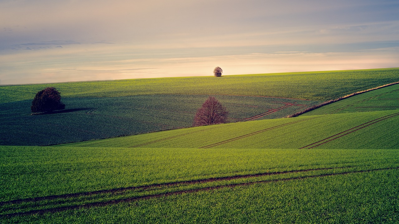 How to Take Captivating Photos of Rural and Countryside Scenes